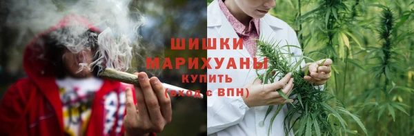 прущие грибы Алзамай