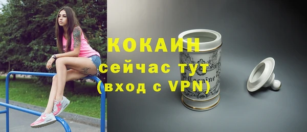 тгк Алексин